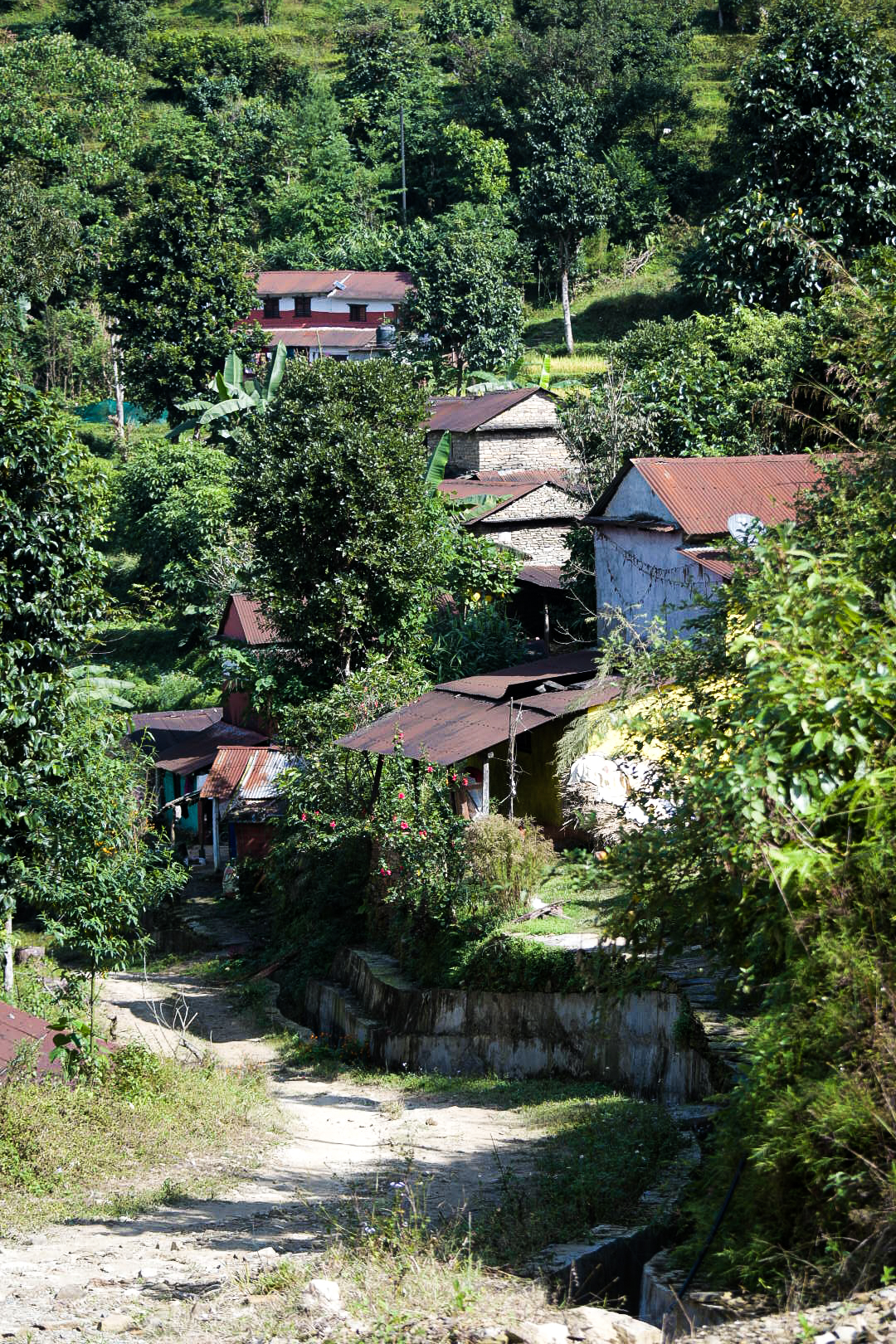 Tin roofed hillside village surrounded by dense green jungle
