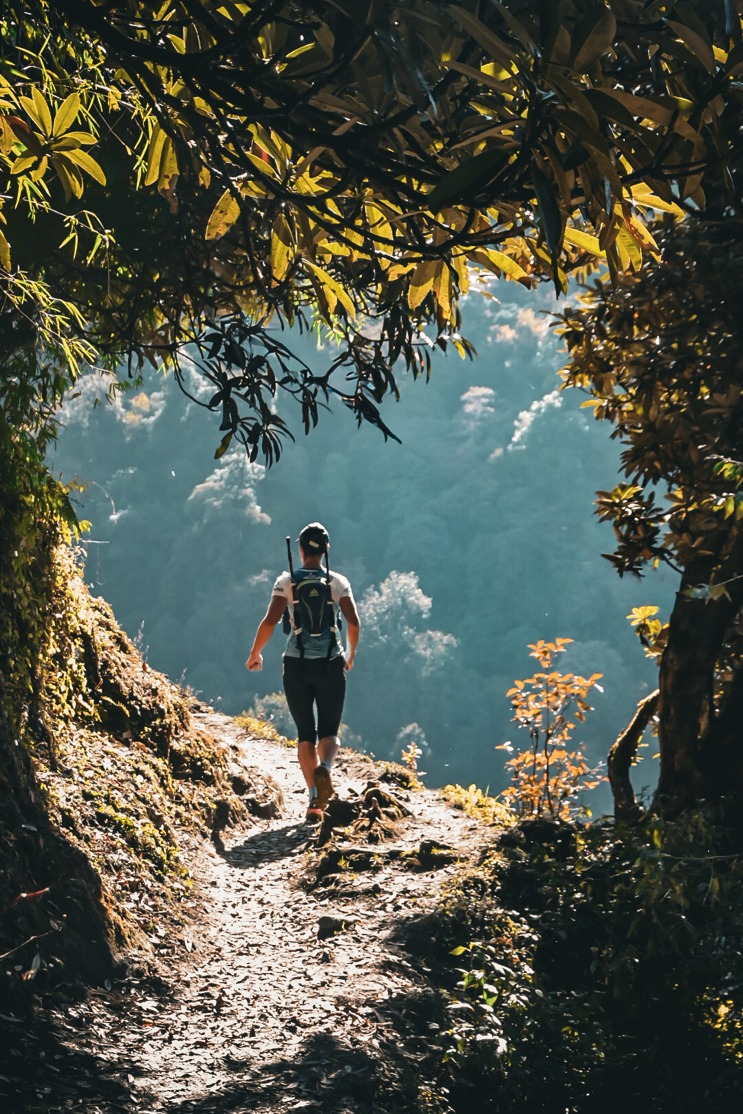 Trail runner on a forest path in the Himalayan foothills