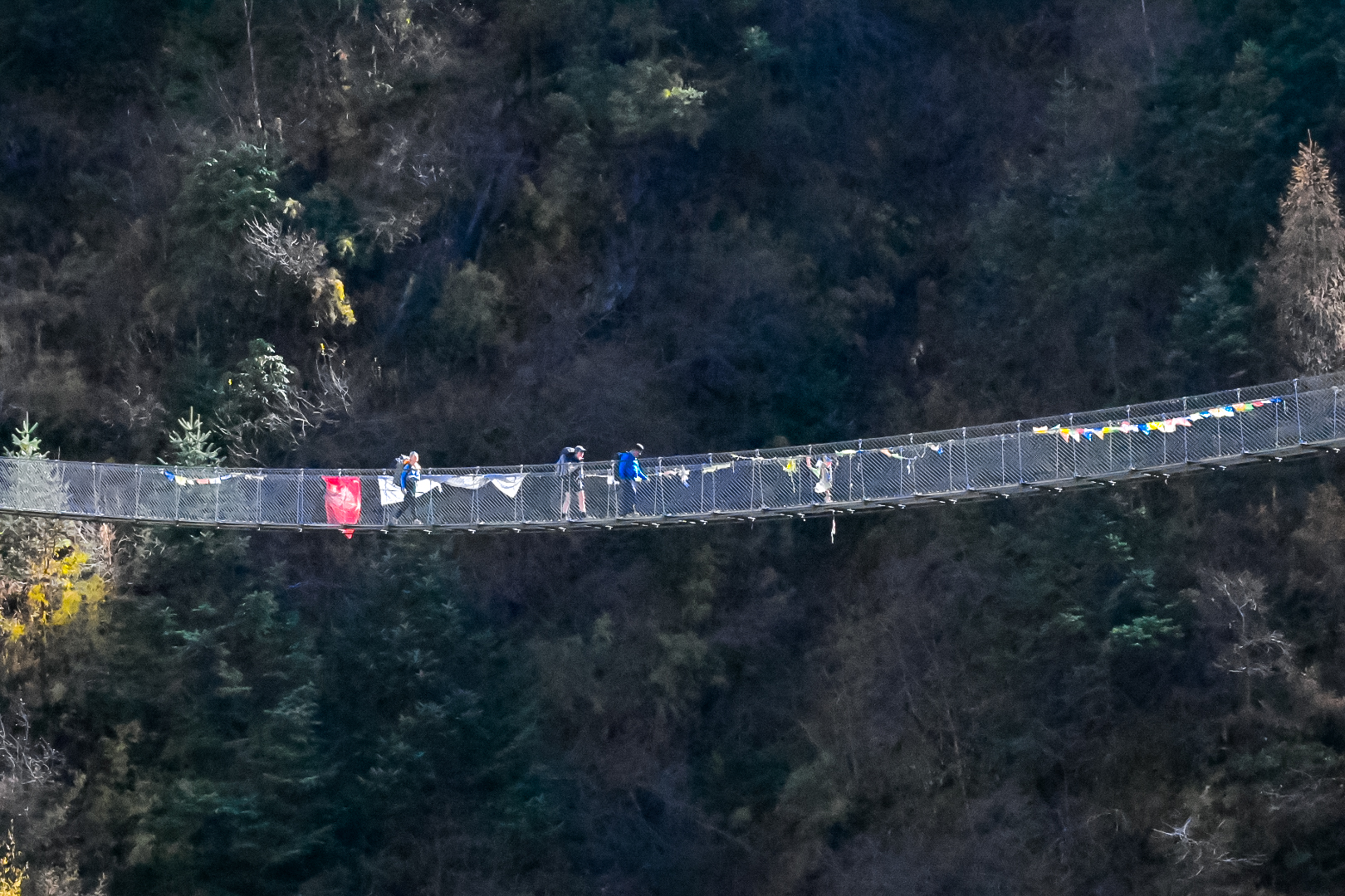 Trekkers crossing a long suspension bridge above dense forest