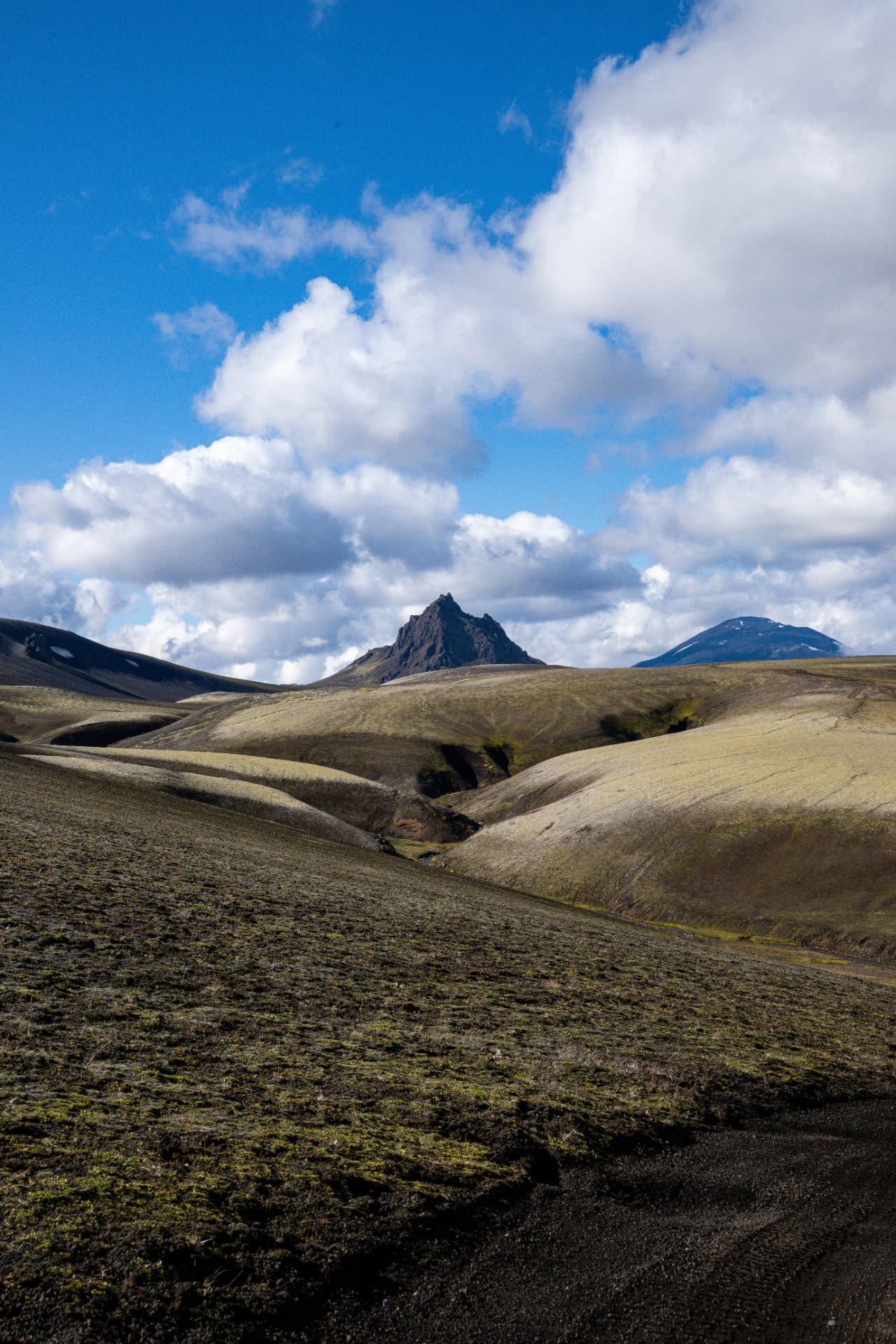 Portrait view of a black volcanic spire beyond pale mossy ridges and a black sand track