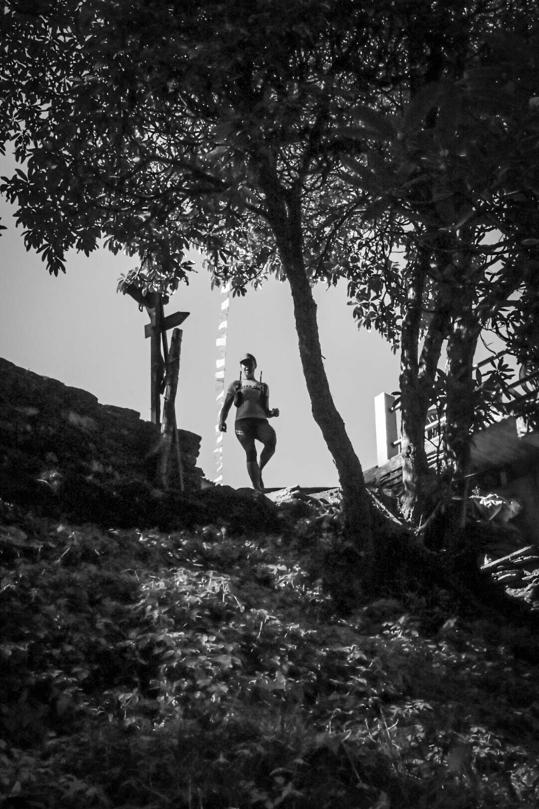 Black and white photograph of a runner emerging through trees on a ridge