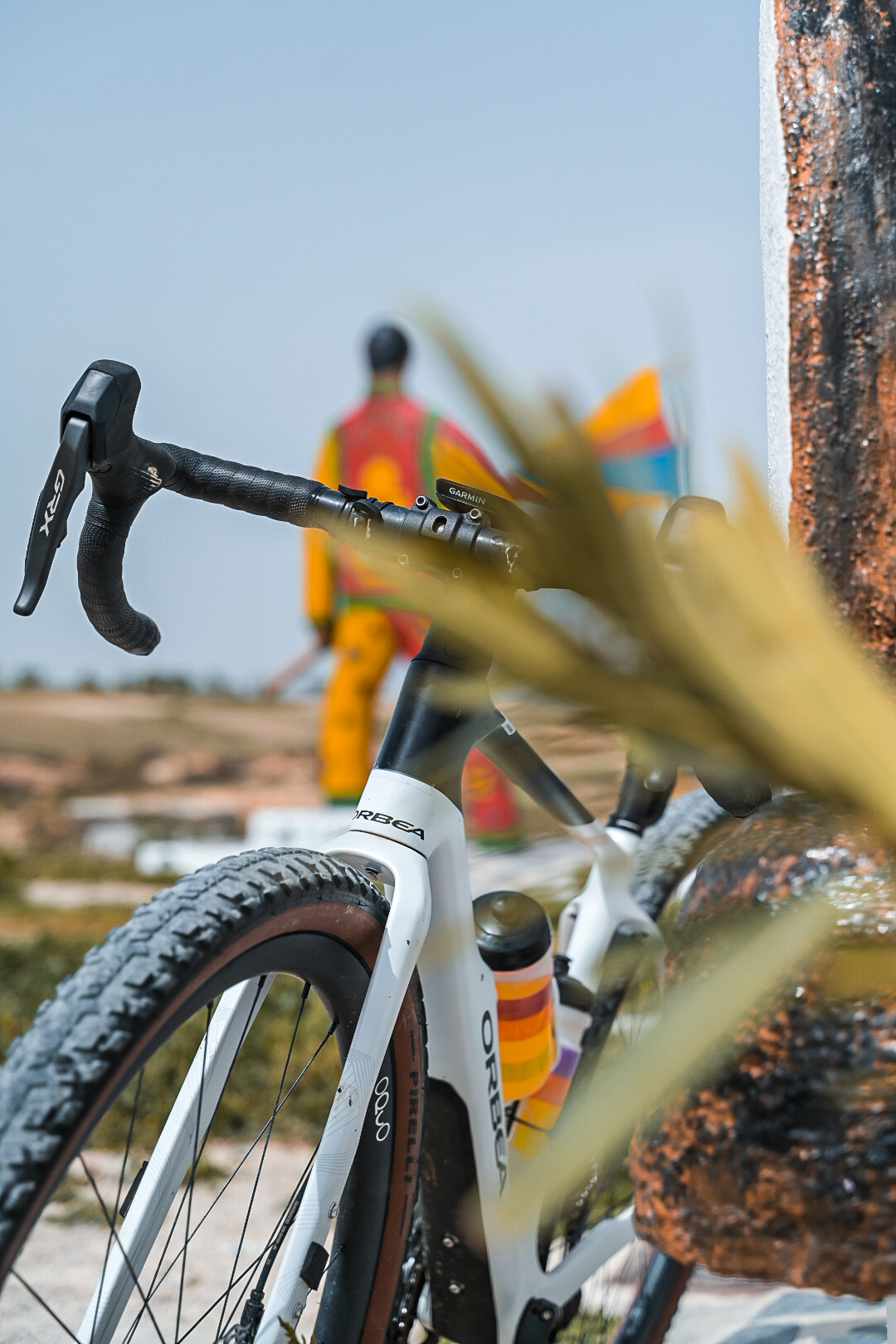 Gravel bike detail framed by grasses with a rider beyond