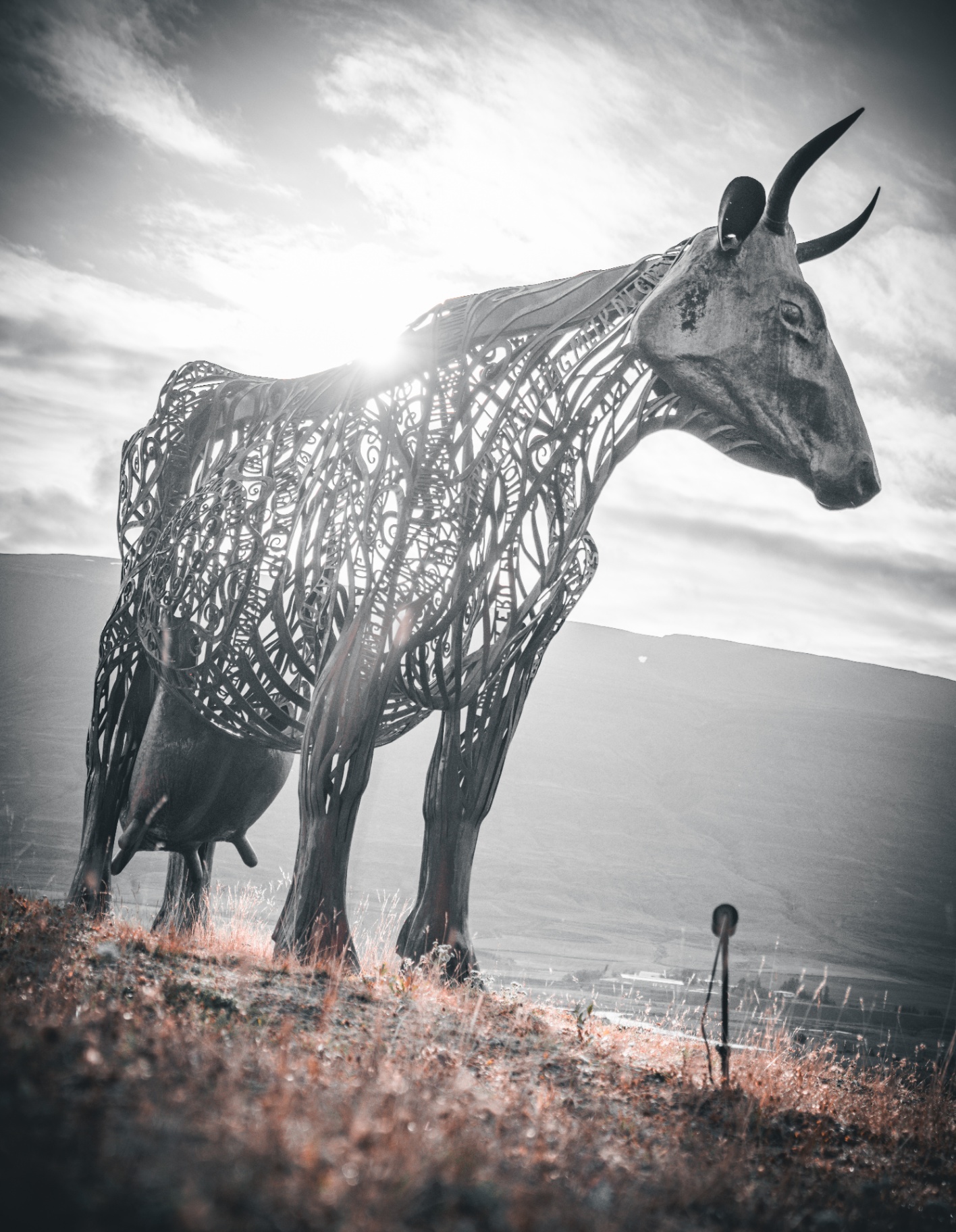 Ironwork cow sculpture backlit by the sun on a hillside above a fjord