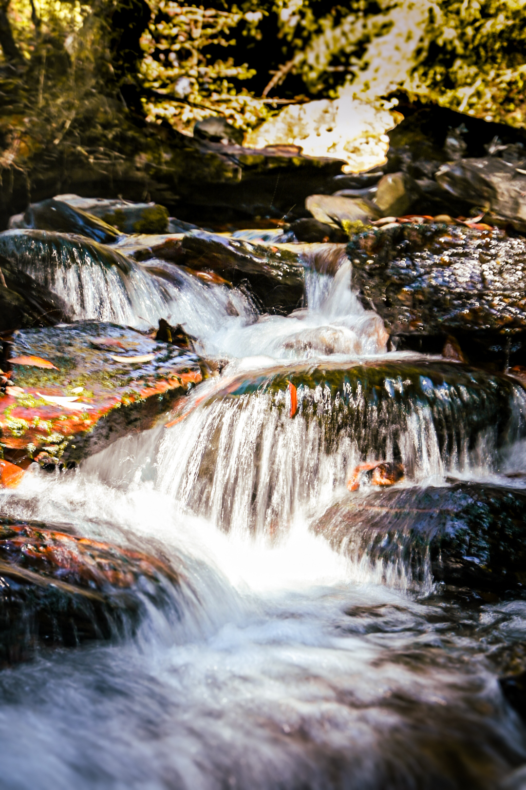 Close detail of white water tumbling over mossy rocks in a mountain stream